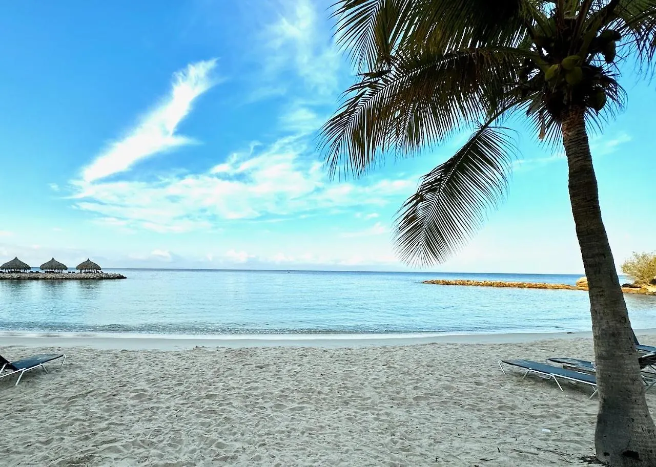 Beachfront 3Bed / 3Bath Condo contacts